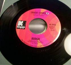 Budgie : Crash Course in Brain Surgery